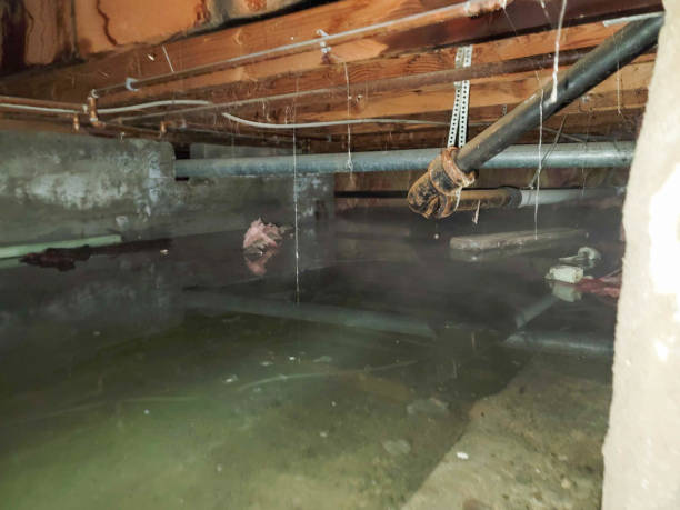 Best Commercial water damage restoration  in Indiana, PA