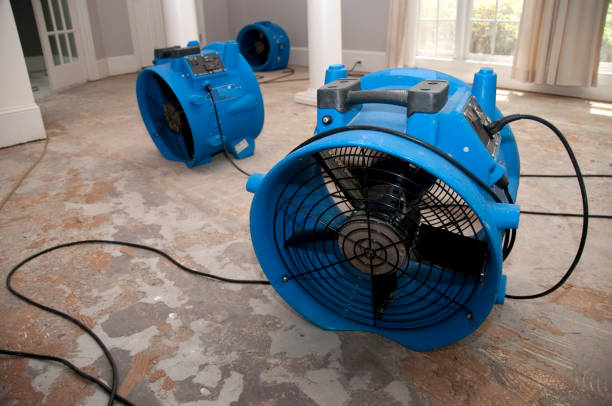 Best Water damage restoration near me  in Indiana, PA