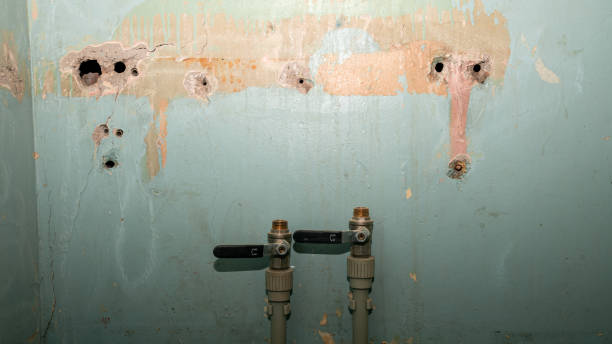 Best Flood restoration services  in Indiana, PA