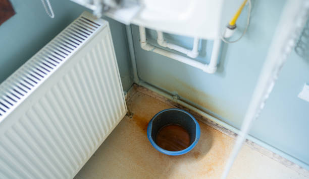 Best Water damage restoration mold remediation  in Indiana, PA