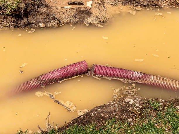 Best Carpet water damage restoration  in Indiana, PA