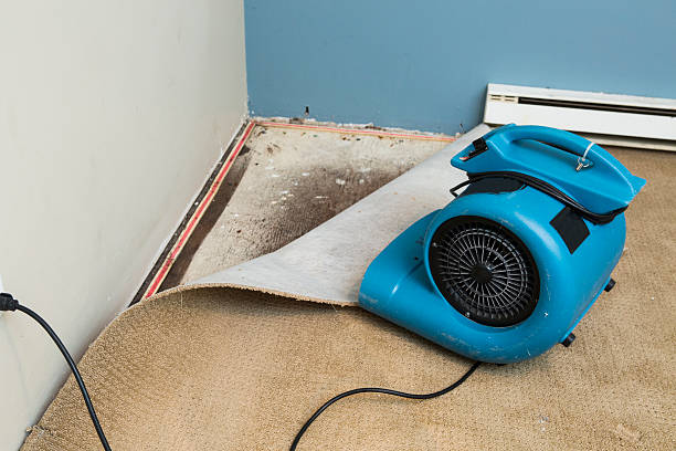 Best Emergency water damage restoration  in Indiana, PA